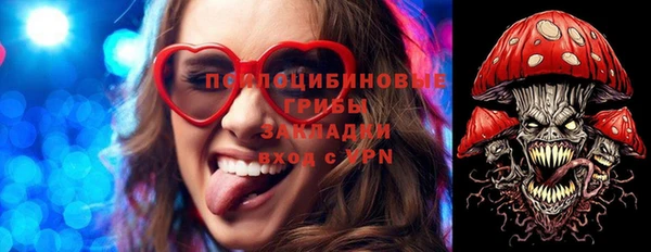 прущая мука Алзамай